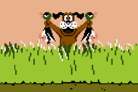 Duck Hunt HTML5