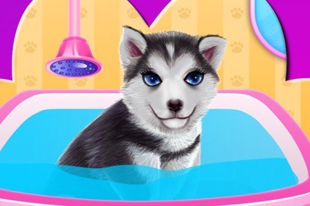Husky Puppy Spa Salon