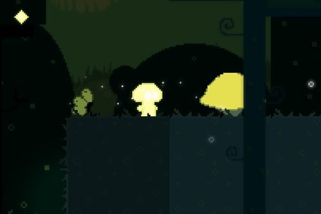 Last Days of the Woods