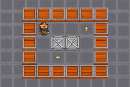 Ninja Vital Treasure