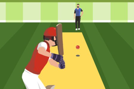 Pro Cricket Champion