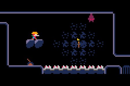 Rabbit Raiser in the Rabbictuary