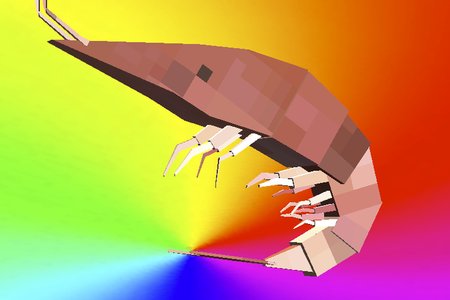 Shrimp Watching Simulator