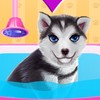 Husky Puppy Spa Salon Game