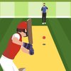 Pro Cricket Champion Game